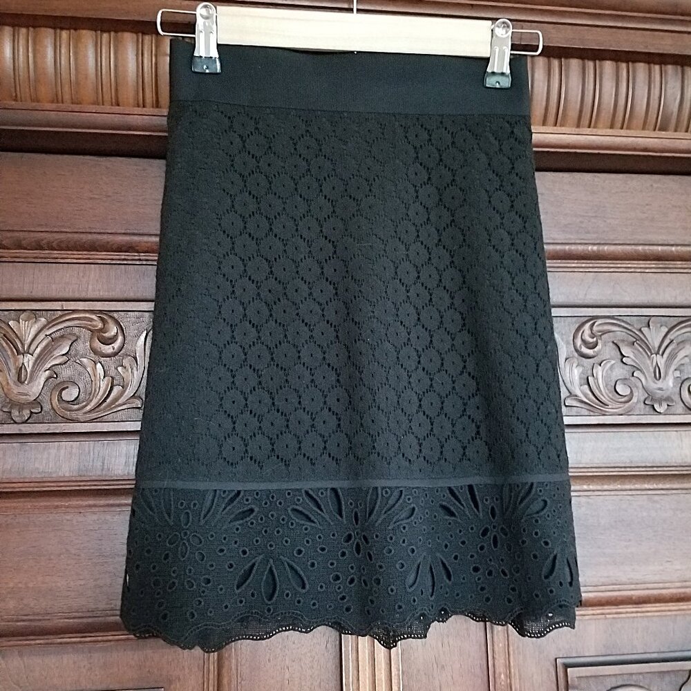 NWT Lace Skirt
